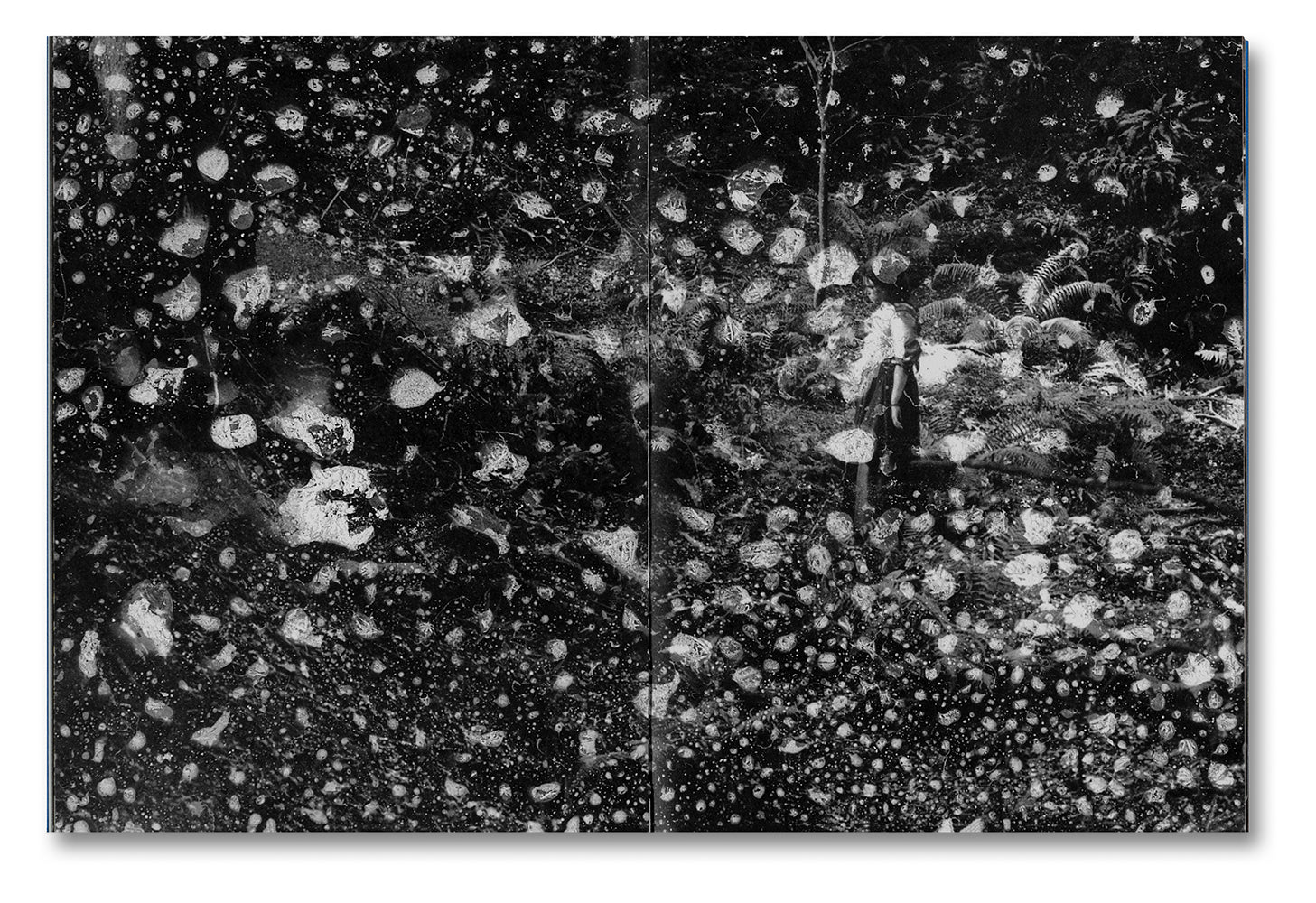 Even as a Shadow, Even as a Dream - Image 4