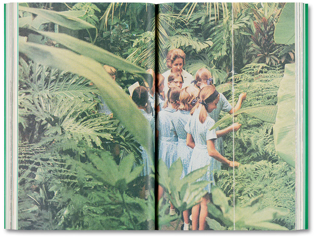 Good Hope - Image 19