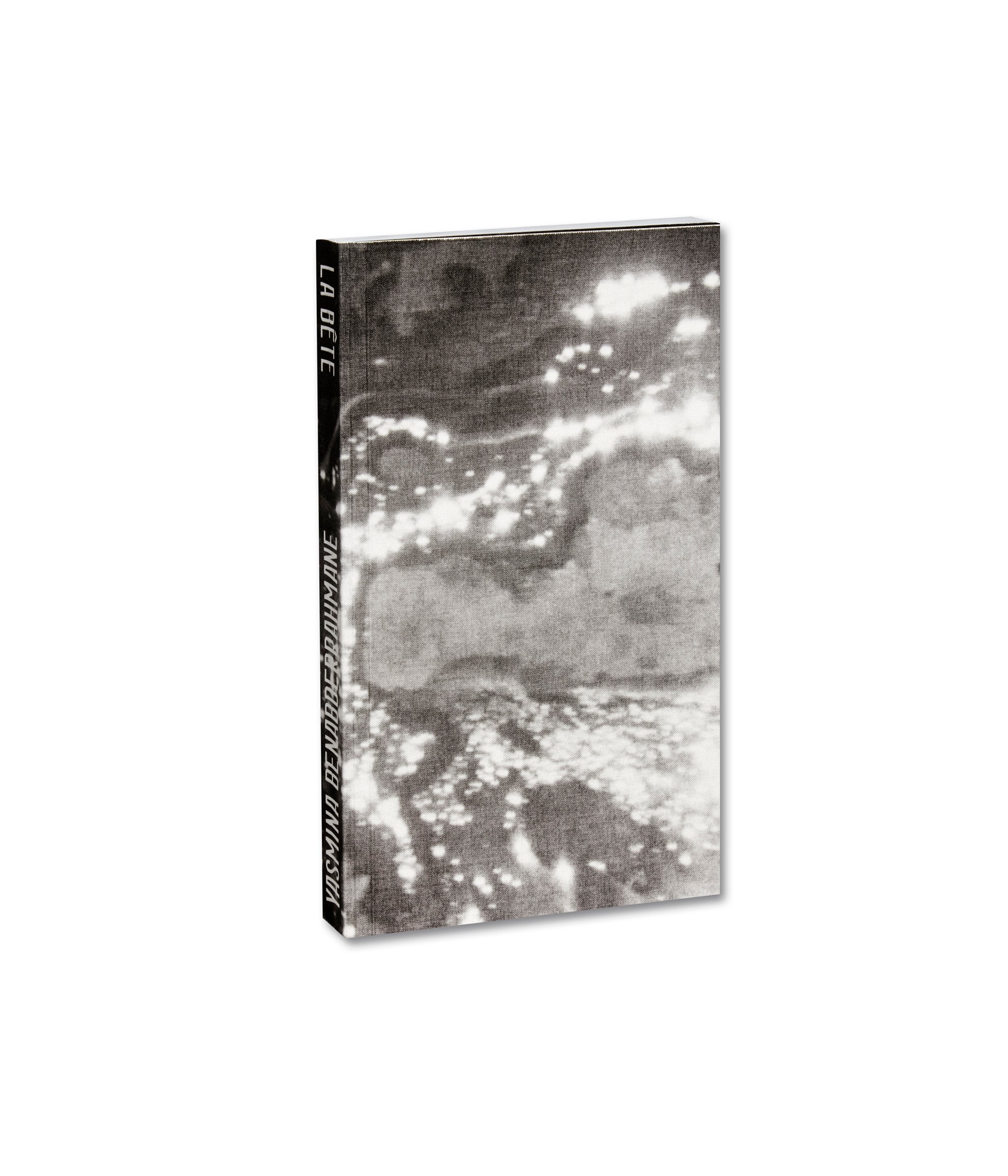 La Bête un conte moderne [French Edition]