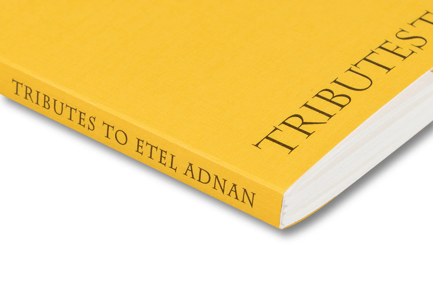 My Center is Not in the Solar System: Tributes to Etel Adnan - Image 15